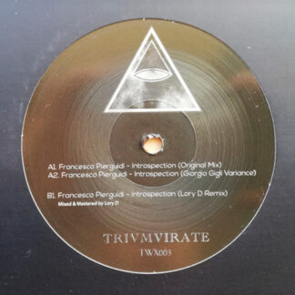 Francesco Pierguidi ‎– Introspection