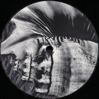 Denis Rodd – Quantum