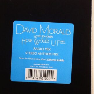 David Morales With Lea-Lorién – How Would U Feel