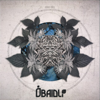 Zohki,Bídlee – Down the Road