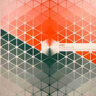 Skyver & D Jon – Beastie General / All That Stands