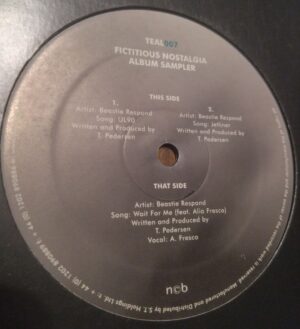 Beastie Respond – Fictitious Nostalgia LP Sampler