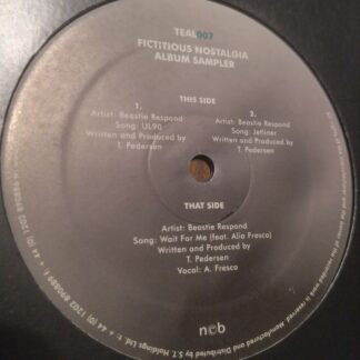 Beastie Respond – Fictitious Nostalgia LP Sampler