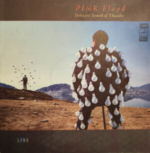 Pink Floyd – Delicate Sound Of Thunder