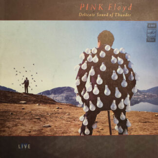 Pink Floyd – Delicate Sound Of Thunder