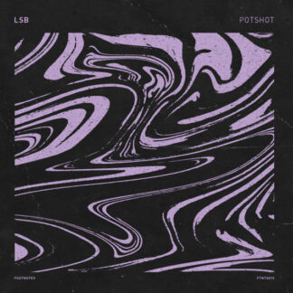 LSB - Potshot