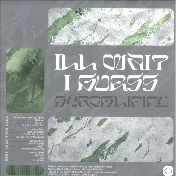 Hyroglifics - I'll Wait, I Guess - Image 2