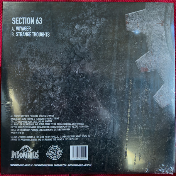 Section 63 - Voyager / Strange Thoughts - Image 4
